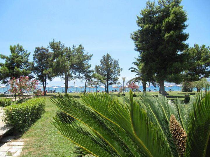 Nafsika Beach Delphi-Itéa Kültér fotó